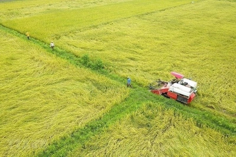 Quy định pháp luật về sổ đỏ như thế nào?